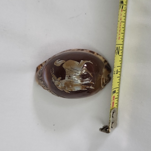 Horoscope Tiger Cowry Seashell Scrimshaw Carved Capricorn Perfect Cypraea Tigris - Picture 3 of 8